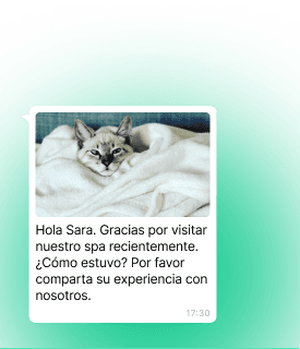 Recopilación
de comentarios image