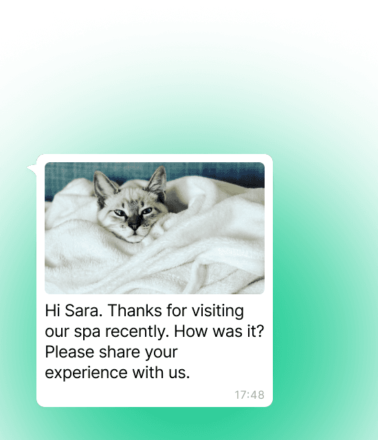 Feedback
collection image